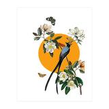 collage floral birds (Print Only) thumbnail