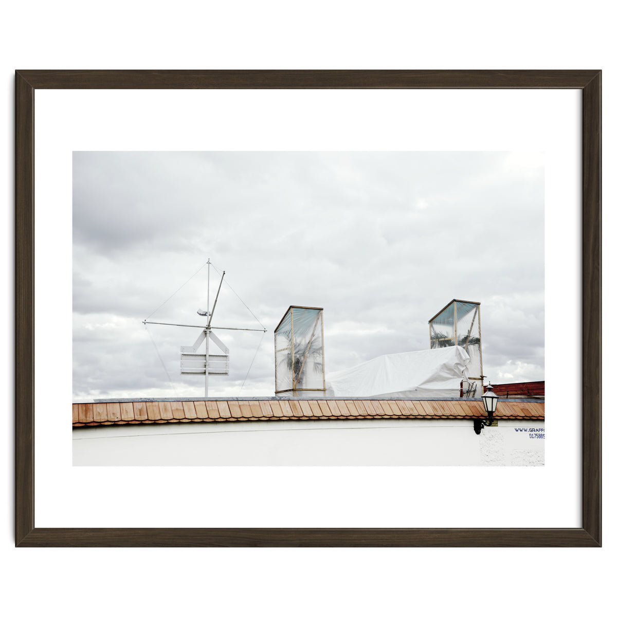 Palm tree waiting for summer