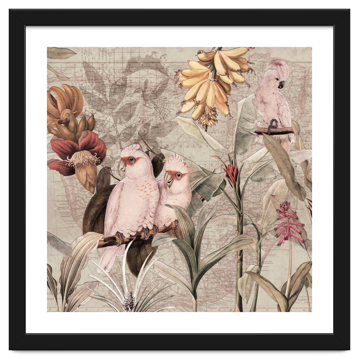 Cockatoo Exotic Bird Jungle