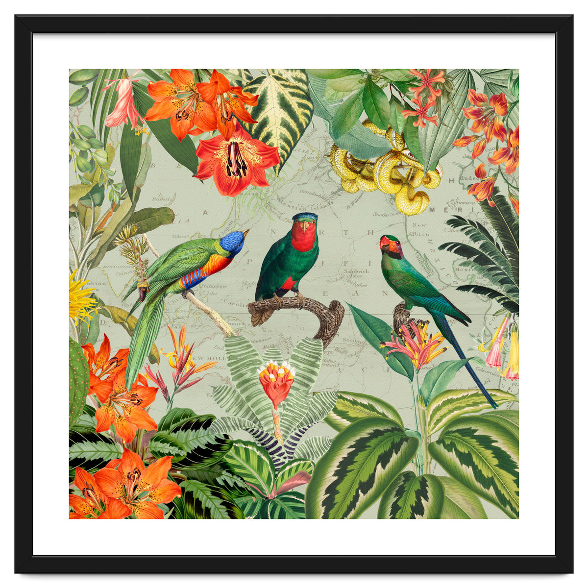 Exotic Parrots Jungle Landscape