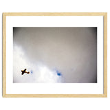 The Little Prince thumbnail
