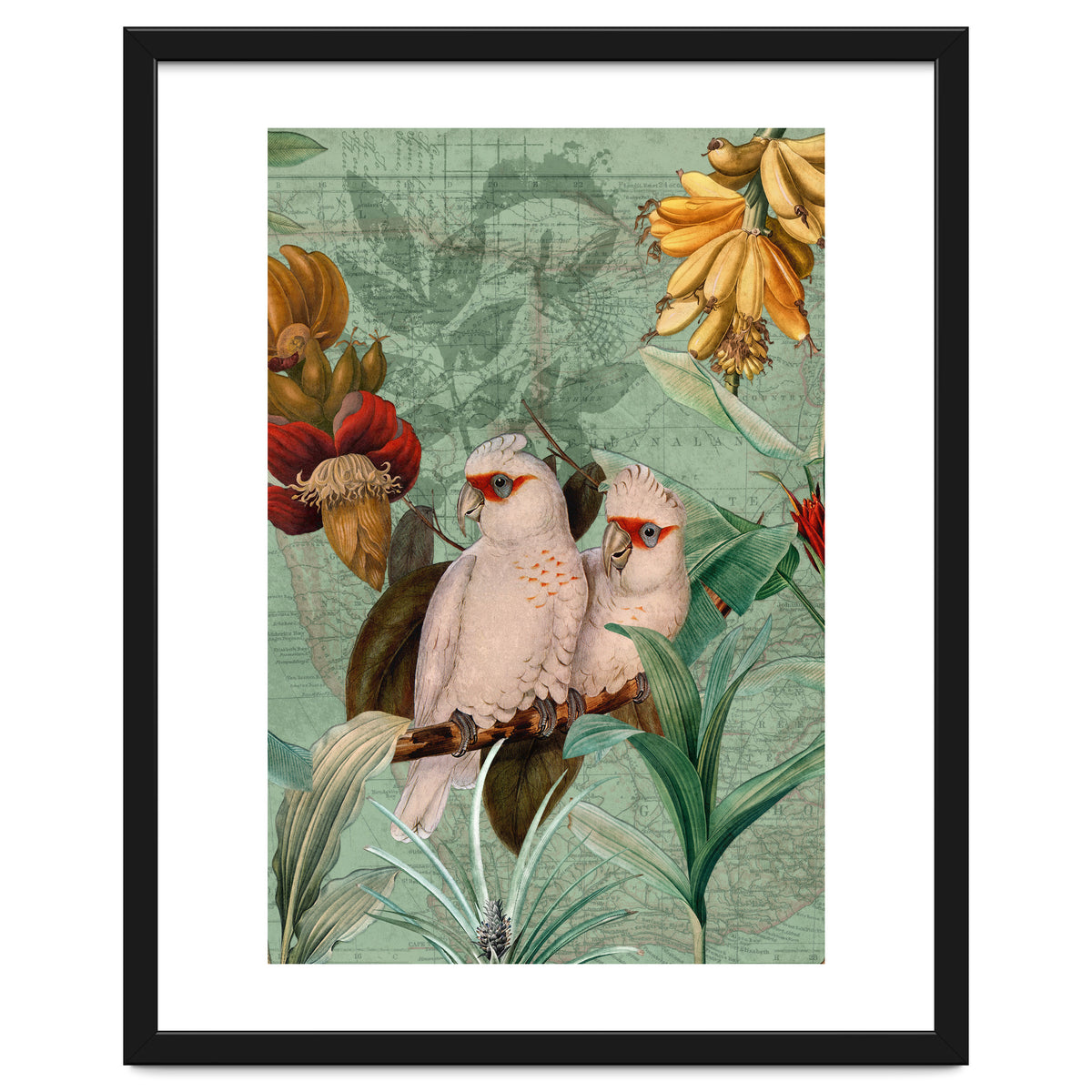 Green Cockatoo Exotic Bird Jungle