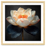 Lotus Cultivar | Midnight Skirt thumbnail
