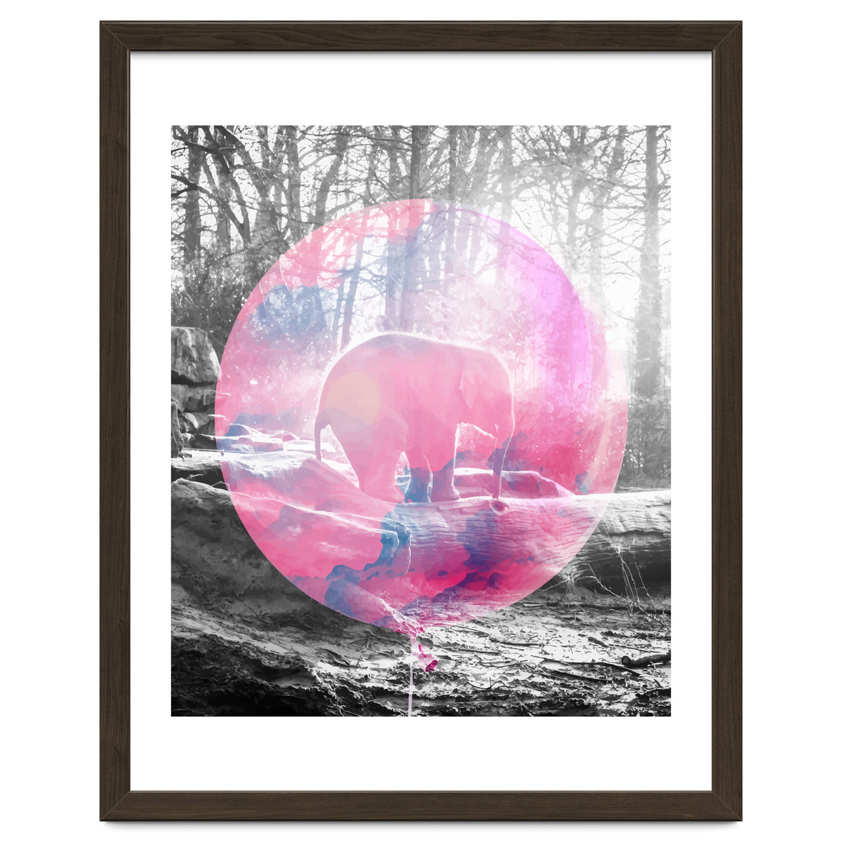 Baby Elephant In A Balloon