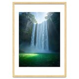 Lush Sun-Drenched Autumn Forest thumbnail