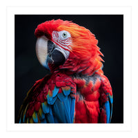 Scarlet Macaw Parrot Detailed Feather Close Up Portrait (Print Only)