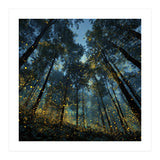 Celestial Forest Canopy with Swirling Golden Fireflies and Deep Twilight Blue Sky Digital Art (Print Only) thumbnail