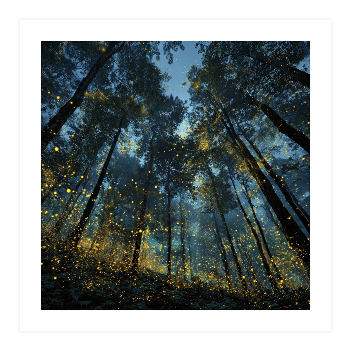 Celestial Forest Canopy with Swirling Golden Fireflies and Deep Twilight Blue Sky Digital Art (Print Only)