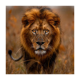 Majestic Lion King Of The Savannah In Dry Grass (Print Only) thumbnail