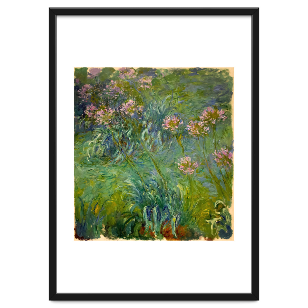 Claude Monet (1840-1926). Agapanthus.