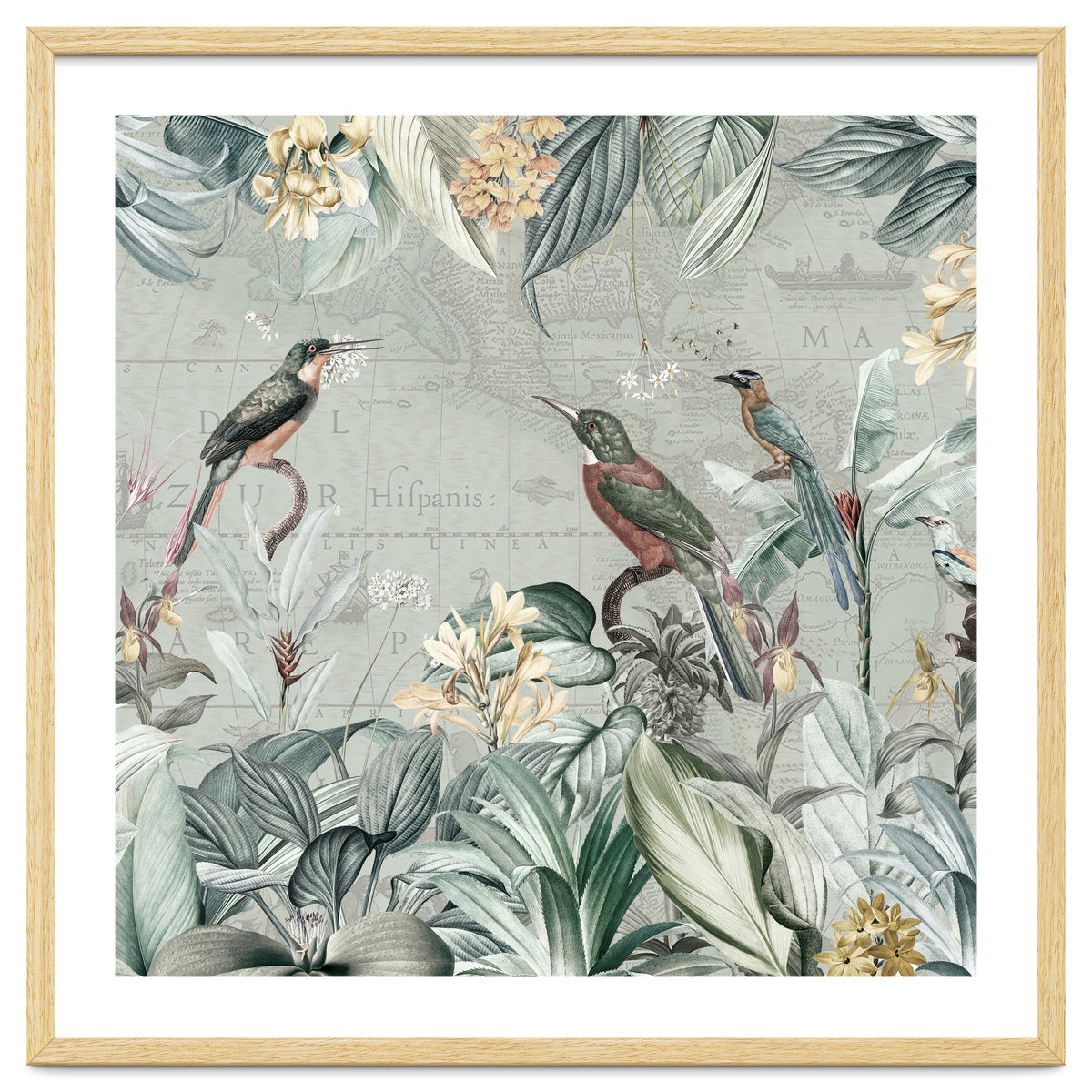 Vintage Exotic Birds Paradise Jungle