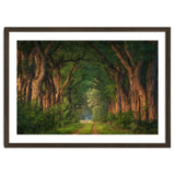 Soft morning light thumbnail