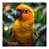 Sun Conure Parrot Colorful Bird Perched On Branch (Print Only) thumbnail
