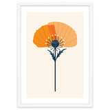 Orange Half Poppy thumbnail