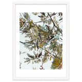 Patterns In Nature thumbnail