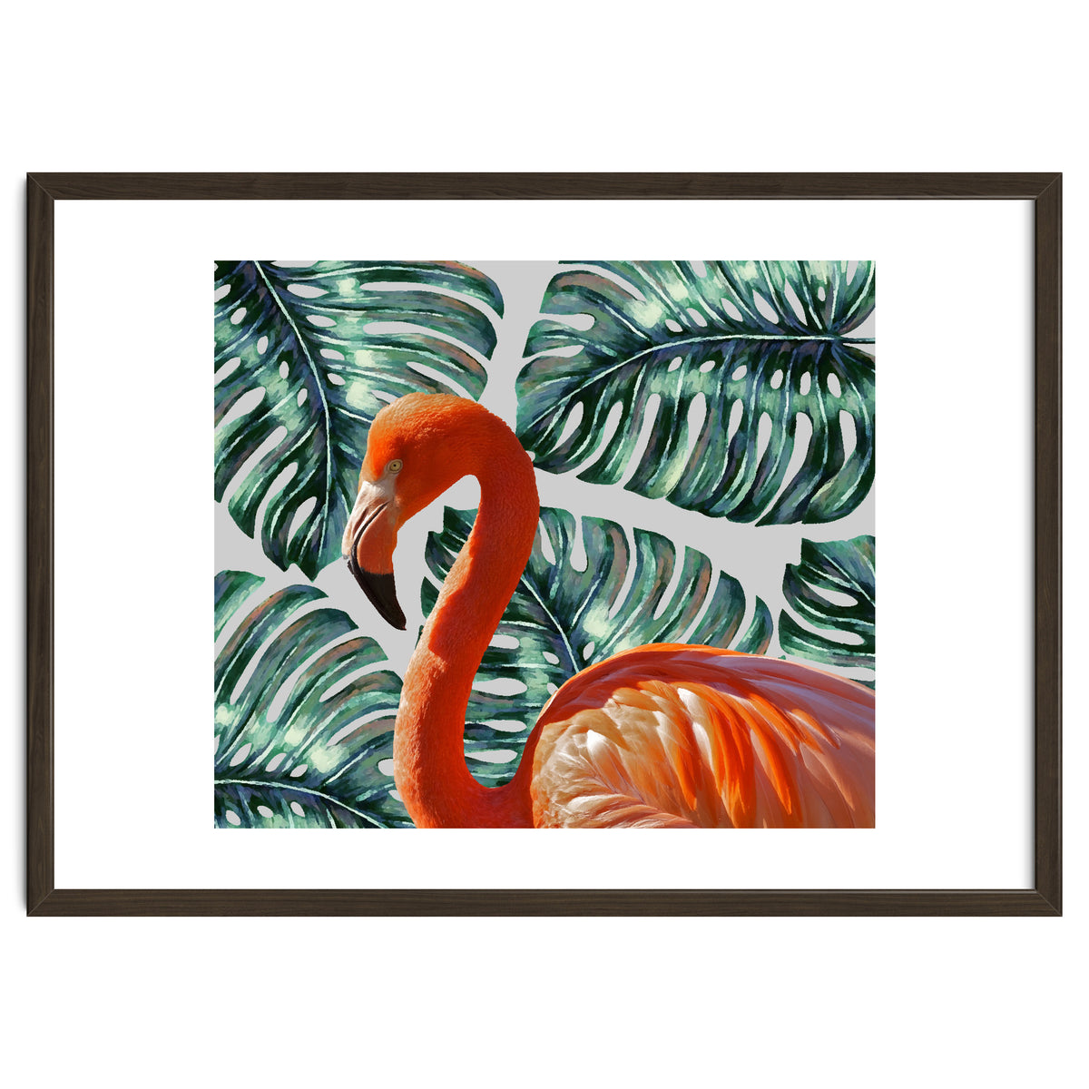 Flamingo Self Portrait