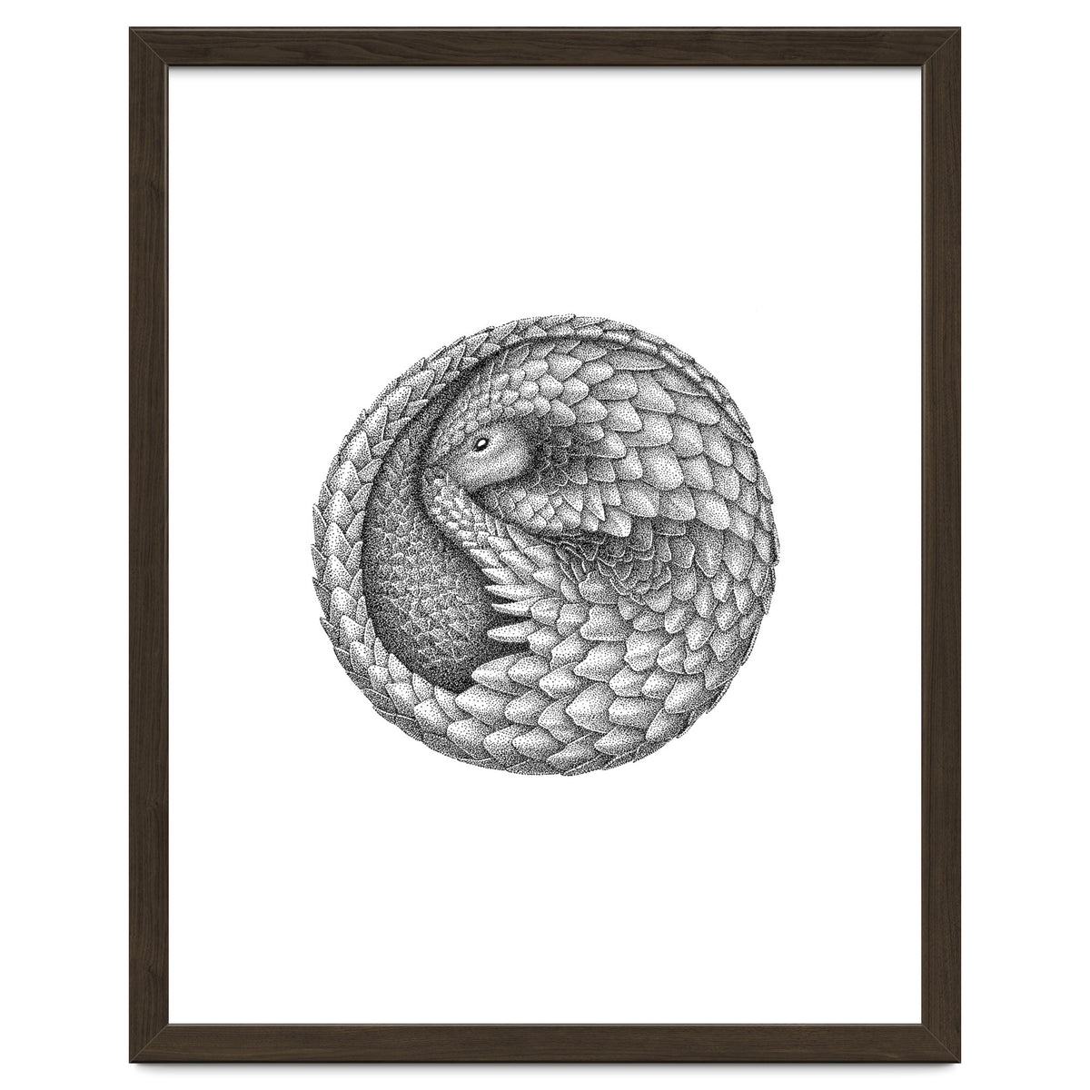 Pangolin no. 2