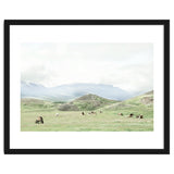 Relaxing horses on a sunny day calm field - Iceland thumbnail