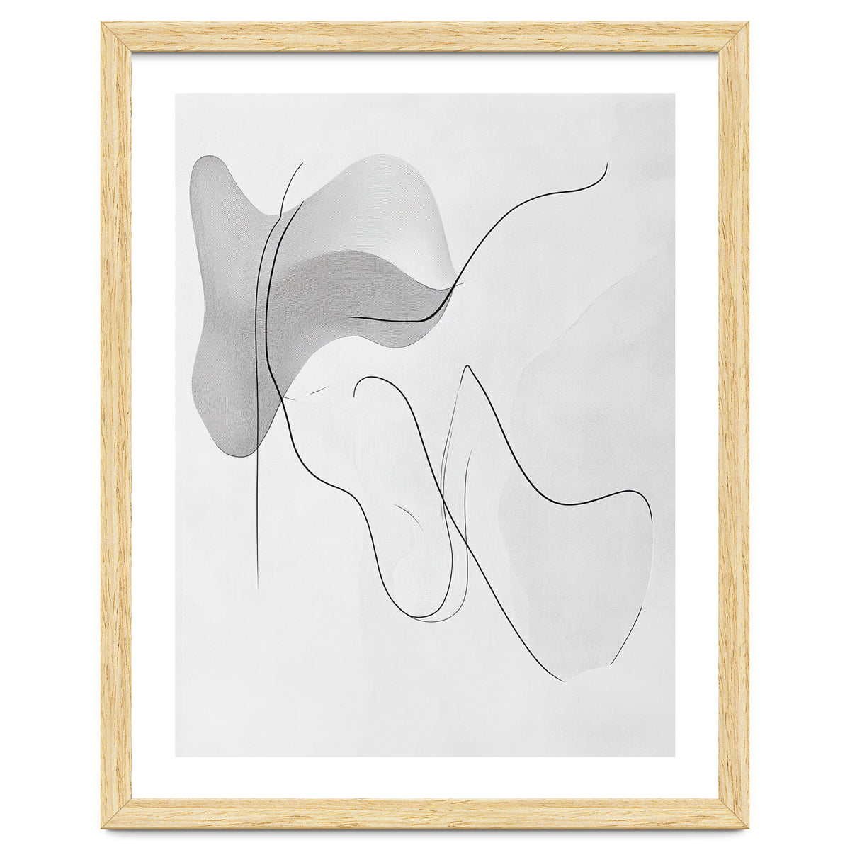 Abstract Black And White Flowing Lines And Shapes