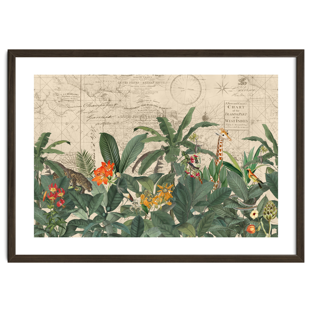 Explore The New World Wild Animals