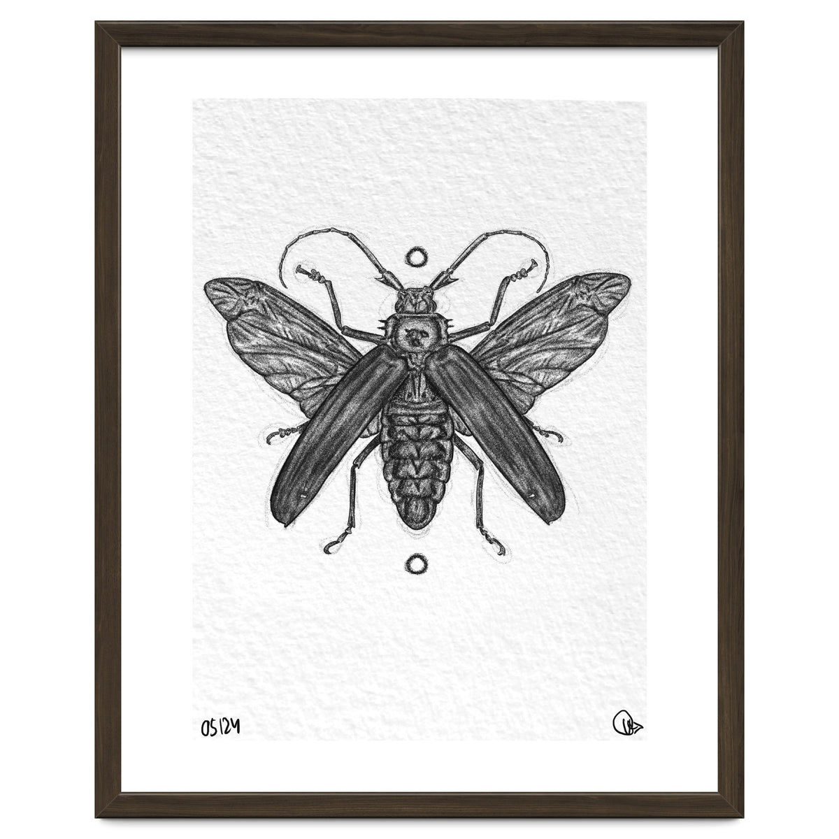 Riesen Longhorn Käfer