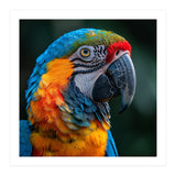 Close Up Of A Colorful Macaw Parrot (Print Only) thumbnail