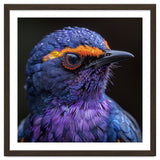 Close Up Portrait Of A Vibrant Exotic Bird thumbnail