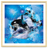 Orca thumbnail