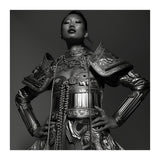 Samourai armor (Print Only) thumbnail