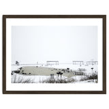 Blackbirds surrounding a frozen pond in winter thumbnail