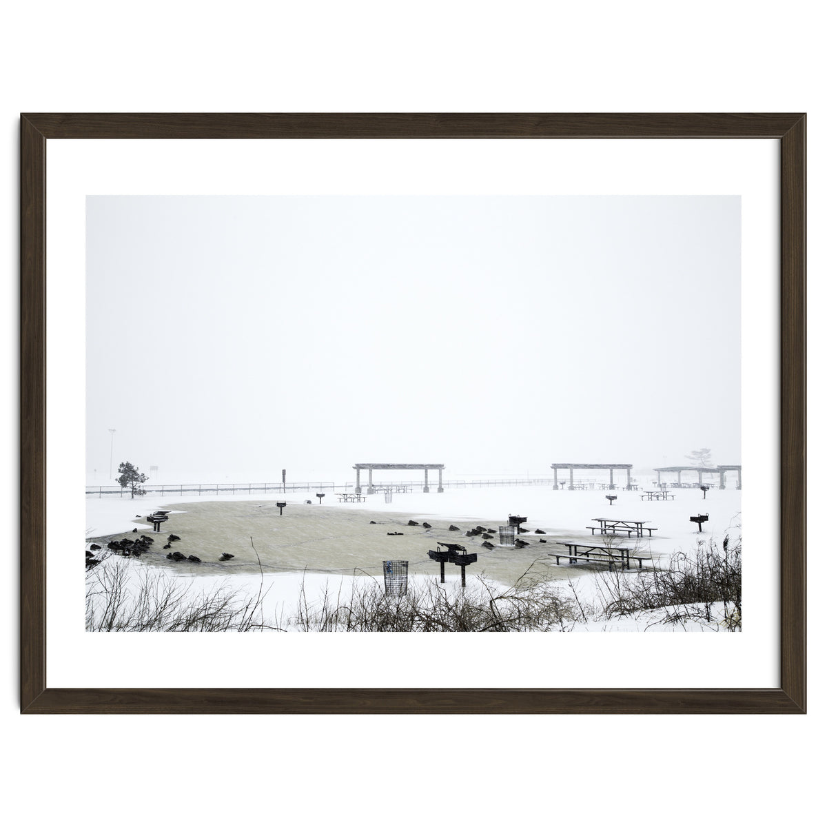 Blackbirds surrounding a frozen pond in winter