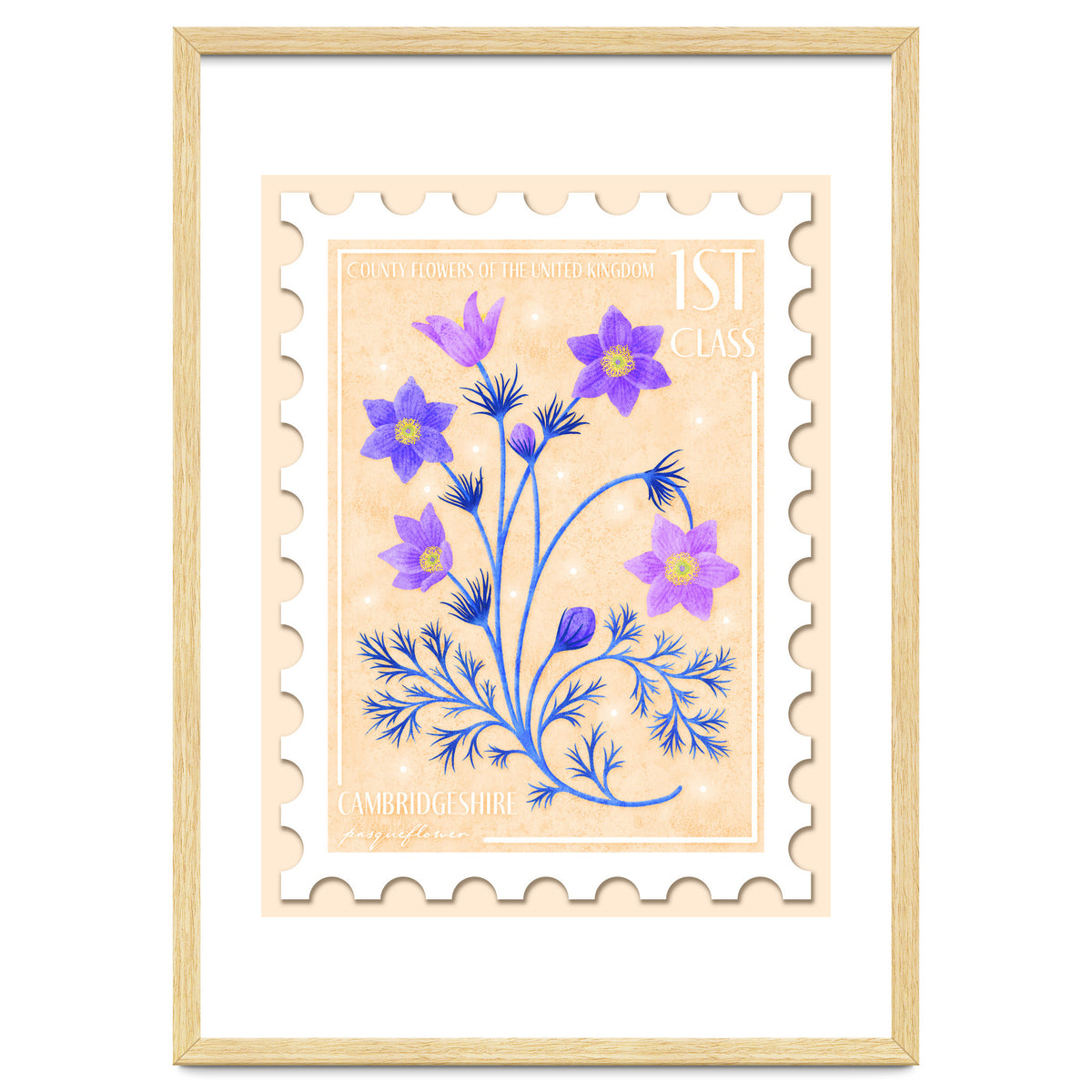 The Cambridgeshire Pasqueflower Postage Stamp