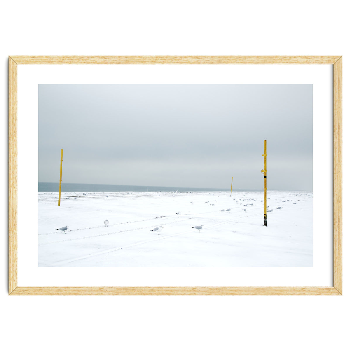 Seagulls in between the volleyball poles in winter snow beach
