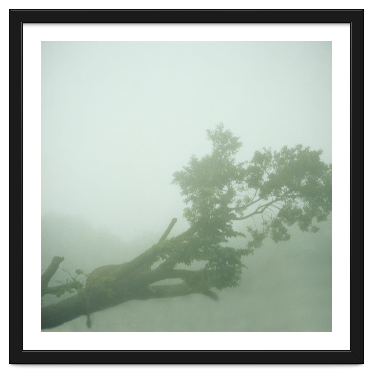 Silence of breath - 07