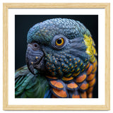 Close Up Portrait Of A Colorful Parrot's Face thumbnail