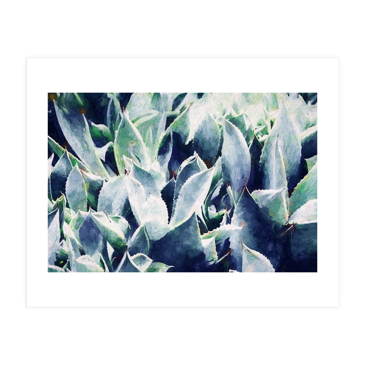 Cactus Garden (Print Only)