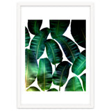 Cosmic Banana Leaves thumbnail