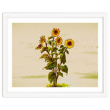 Reaching for the Sun thumbnail