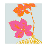 Plant based happyness Blackberry still life (Print Only) thumbnail