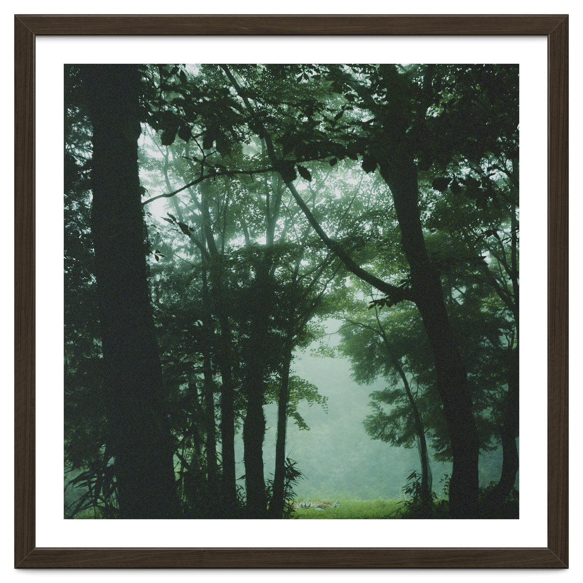 Silence of breath - 13