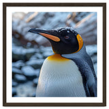 King Penguin In The Snow With Frosty Head thumbnail