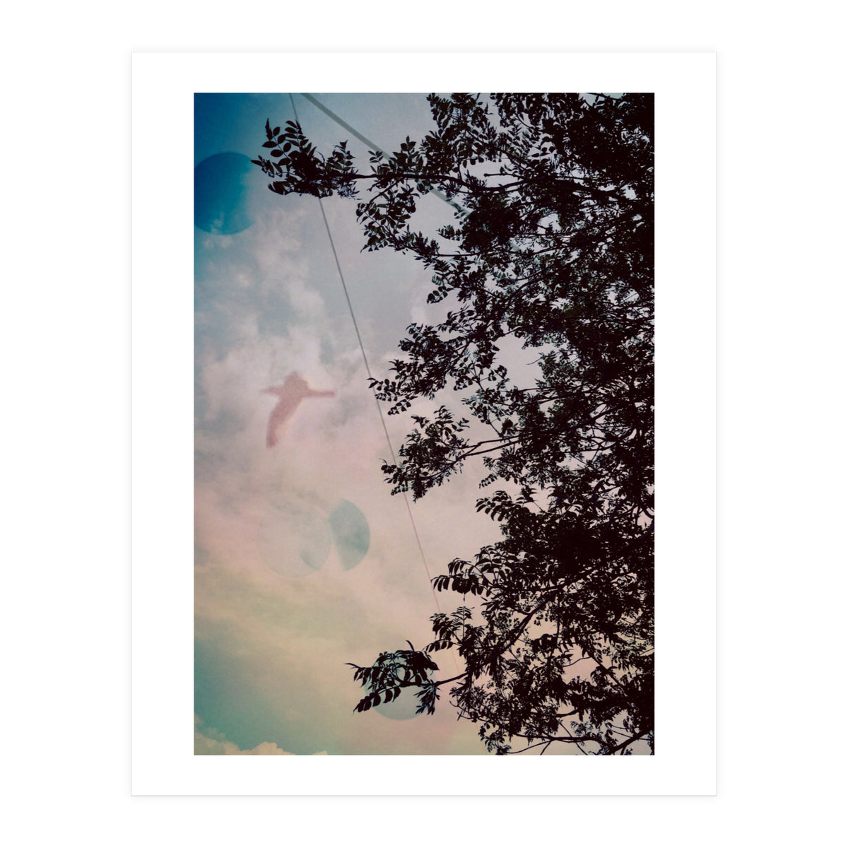 This Bird Has Flown (Print Only)