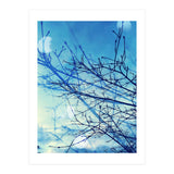 Winter (Print Only) thumbnail