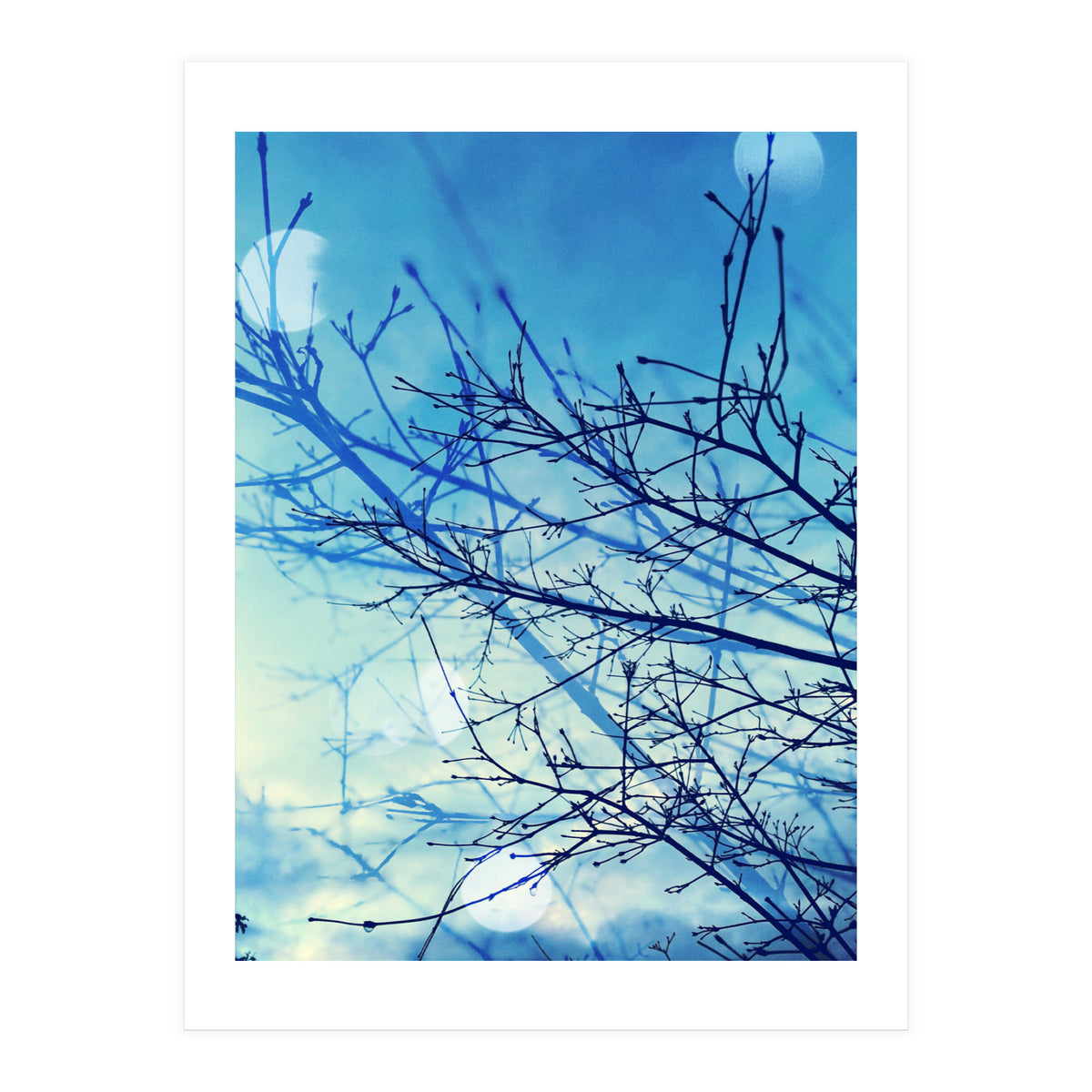 Winter (Print Only)