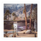 Palm Springs Pink II (Print Only) thumbnail