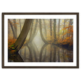 Bent trees in autumn thumbnail