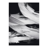 Flybynight  (Print Only) thumbnail