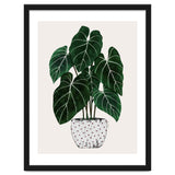 Philodendron Plant thumbnail