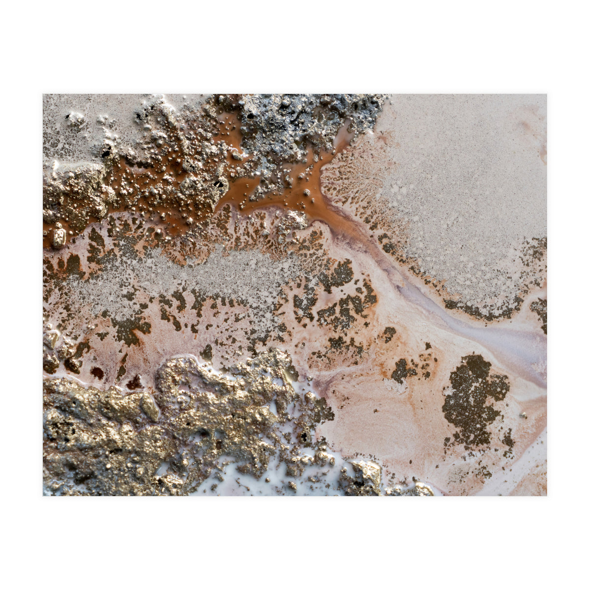 Conection (Print Only)