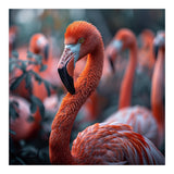 Beautiful Close Up Of A Pink Flamingo Bird (Print Only) thumbnail